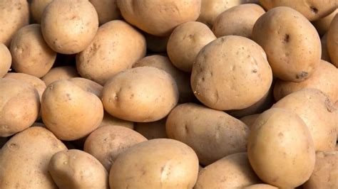 Are Golden Potatoes Healthy? [Yukon Nutrition Facts]