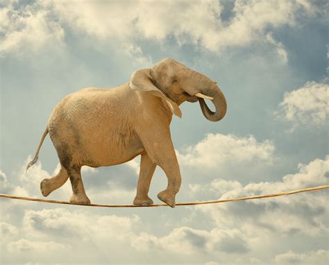 Looking beyond Sensationalism as a Media Strategy - Global Media Consult