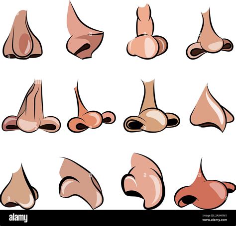 Vector illustration of 12 noses cartoon set for character animation ...