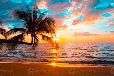 beach sunset palm trees