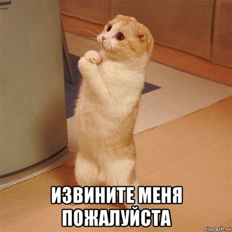 извините меня пожалуйста, Мем котэ молится - Рисовач .Ру