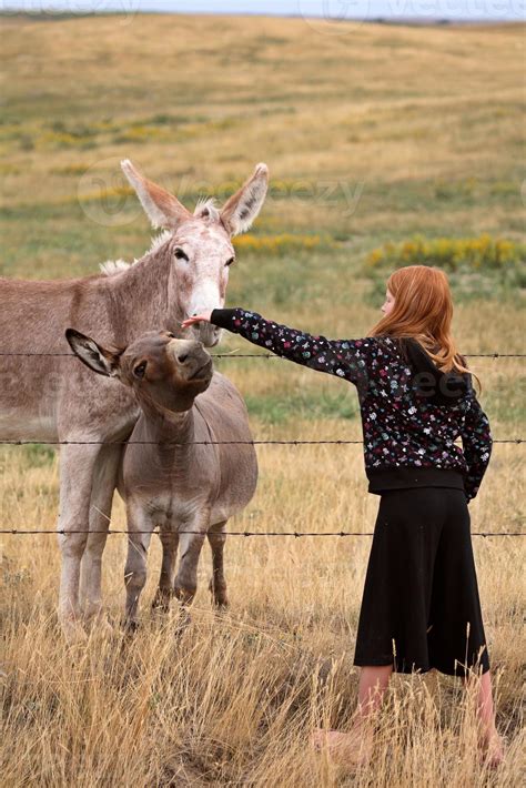 Young girl making friends with two donkeys 6228405 Stock Photo at Vecteezy
