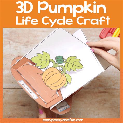 3D Pumpkin Life Cycle Craft - Easy Peasy and Fun