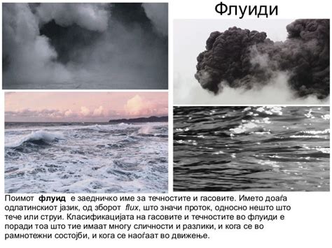 Флуиди