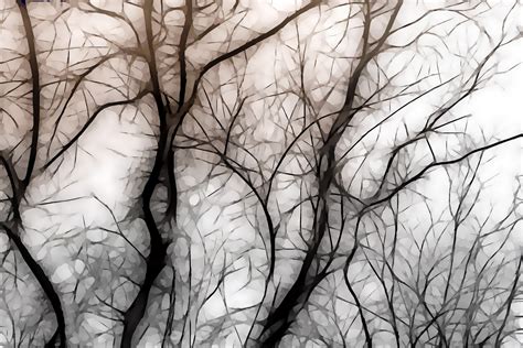 tree art   stock photo public domain pictures