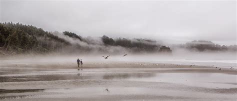 The Freelance Adventurer : Olympic National Park Beaches