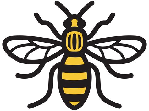 Manchester Bee - Manchester Sightseeing Tours