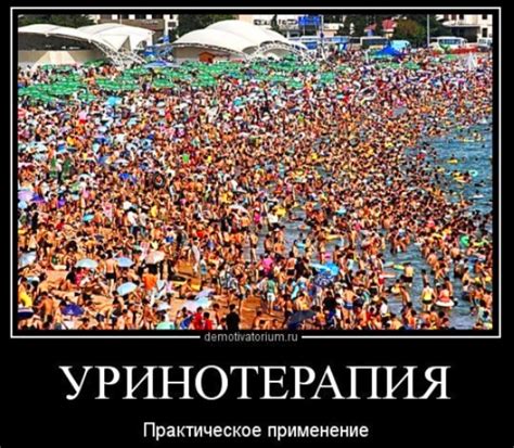 Прикольные Демотиваторы про Море