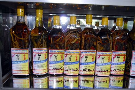 Водка со змеей (фото) - Моя газета | Моя газета