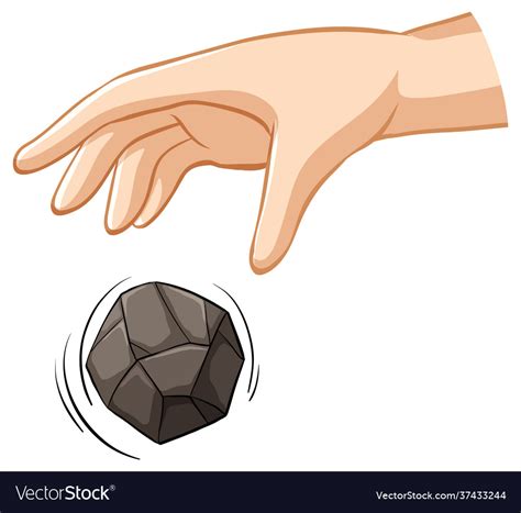 hand dropping stone  gravity experiment vector image