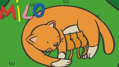 Milo and mommy cat | Cartoon for kids - YouTube