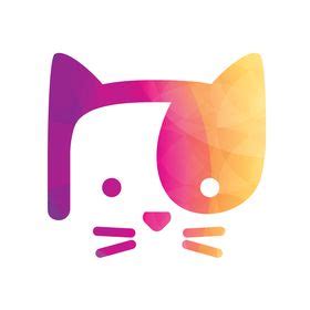 smartykat brand smartykatbrand profile pinterest