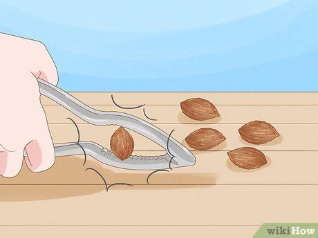 How to Plant a Plum Seed (with Pictures) - wikiHow