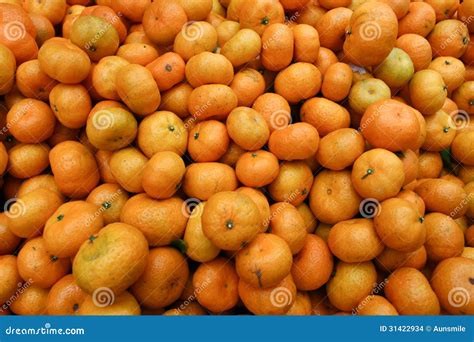 full  orange stock photo image  perfect detail