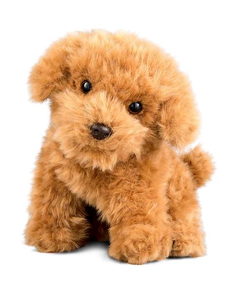 Cavapoo - Salago Totnes