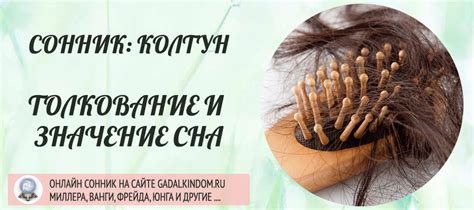 Сонник: Колтун
