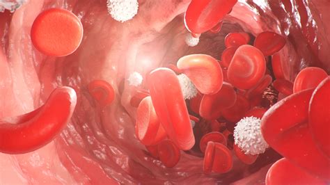 White Blood Cell Count | Pathology Tests Explained