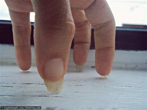 Are Finger Nails Bones - RYZE Superfoods