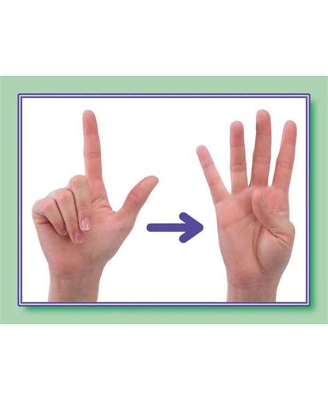 Number 0-30 Sign Language Cards