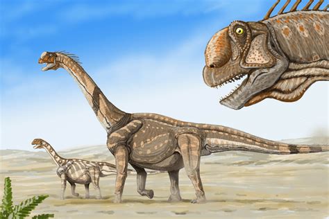 To the breaking point: Testing ideas about the evolution of long-necked ...