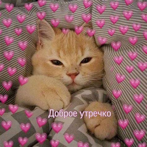 Прекрасное утро понедельника! С добрым утром, друзья! Хорошего начала ...