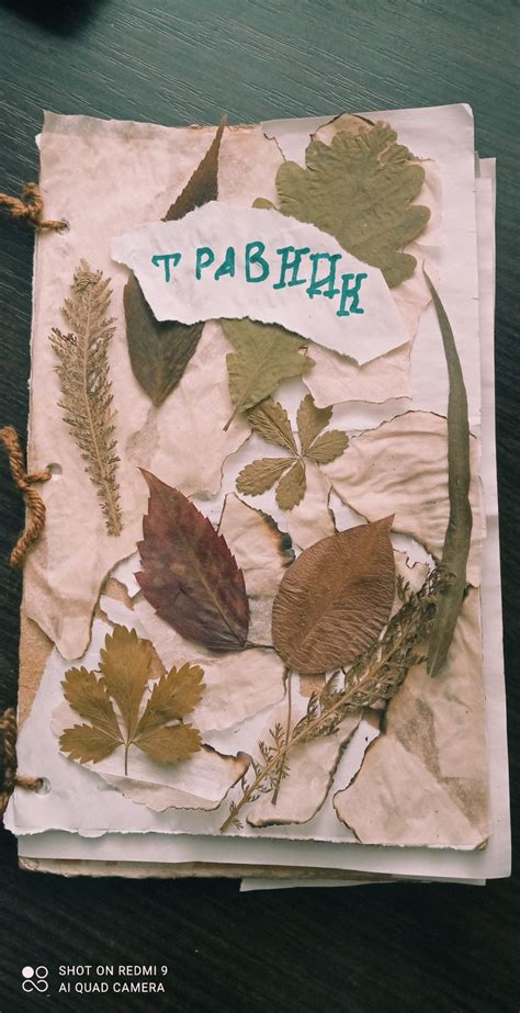 Травник своими руками | Украшения феи, Бумажные поделки, Страницы ...