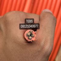 Jual Kabel N2xy Terbaik - Harga Murah April 2024 & Cicil 0%