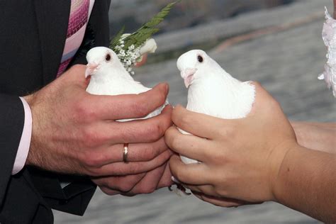 How Much Should You Spend on Your Wedding? - TransitionPG