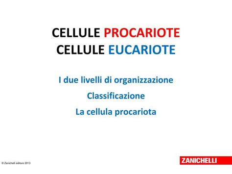 PPT - CELLULE PROCARIOTE CELLULE EUCARIOTE PowerPoint Presentation ...