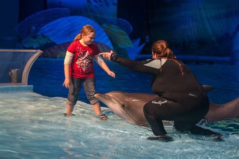 Summer at the Indianapolis Zoo - Indy’s Child