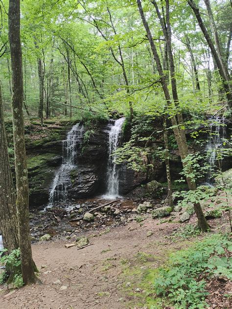 Stephanie Sage Realtor | Colchester CT