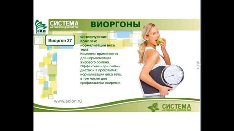САД - АКЛОН НОРМАЛИЗАЦИЯ ВЕСА. ВИОРГОН 27 - YouTube