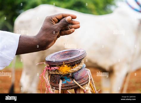 hand sowing crop  res stock photography  images alamy