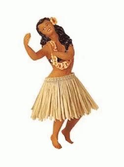 hawaii gifs gifdbcom