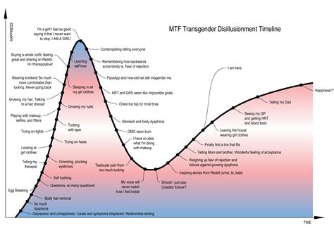 Transition Disillusionment Timeline [OC] | Transgender tips ...