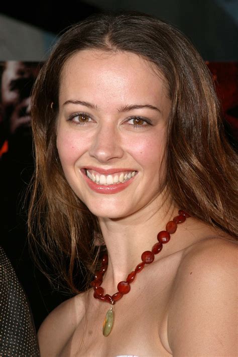 Amy Acker | Amy acker, Amy, Stunning brunette
