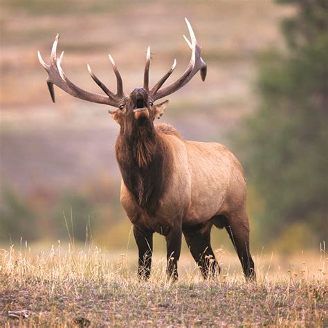 Eastern Montana 2022