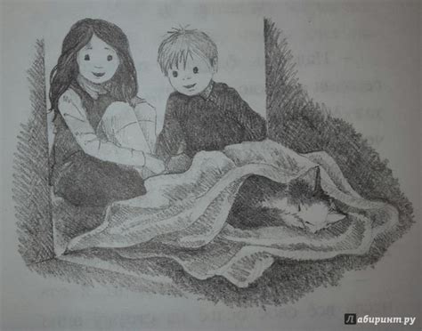Книга: Котенок Кэтти, или Секрет в шкафу - Холли Вебб. Купить книгу ...