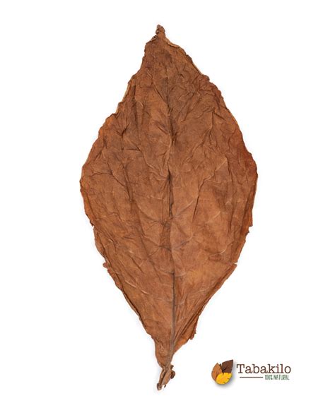 Tabakilo.com - Burley - (Kentucky) - 1/Kg
