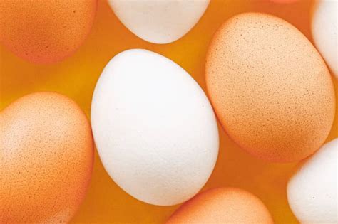 ¿Cuánto tiempo de cocción necesita un huevo tibio? | EL ESPECTADOR