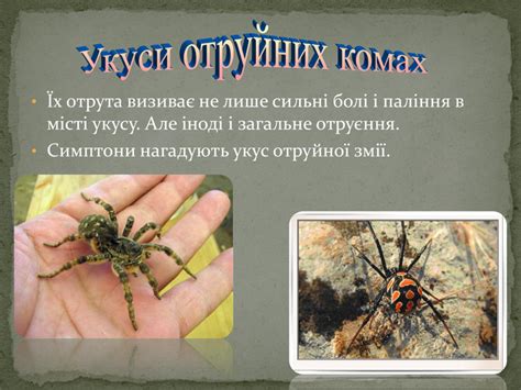 Презентація " Укуси отруйних змій та комах"