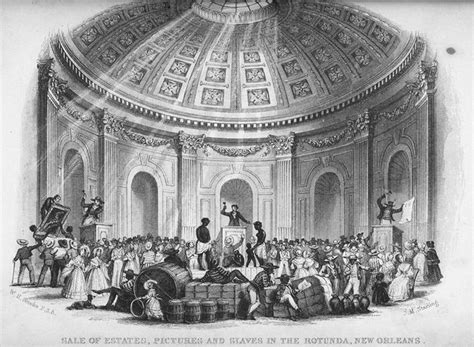 Plantation Economy and Politics | US History I (AY Collection)
