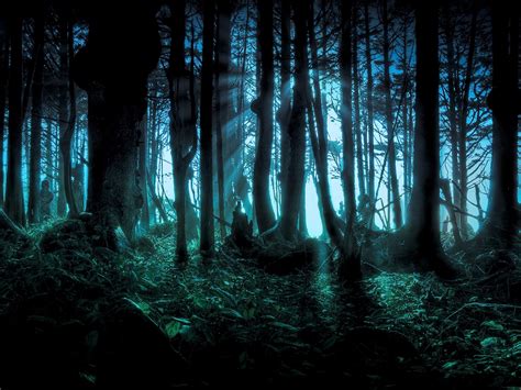 Scary Forest Wallpaper - WallpaperSafari