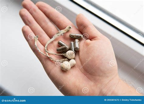 Psychedelic Microdosing. Magic Shroom Stock Photo - Image of mycology ... 