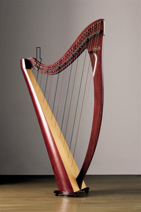 Rainbows and Harps and Heart Energy! Ready For October?? | The Galactic ...