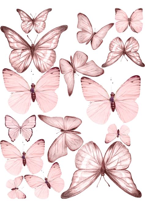 Butterfly Cakes, Butterfly Party, Butterfly Birthday, Butterflies ...