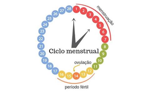 Tive Relação E 7 Dias Depois Menstruei Posso Estar Grávida