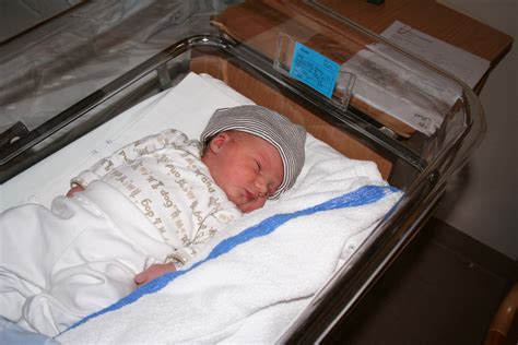 Bebis "Arvid"