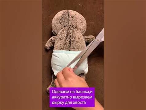 КАК СШИТЬ ТРУСИКИ НА БАСИКА / КОТ БАСИК #shorts #басик - YouTube