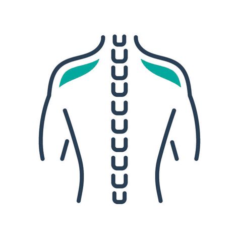 anatomy spine muscles  ligaments teachmeanatomy